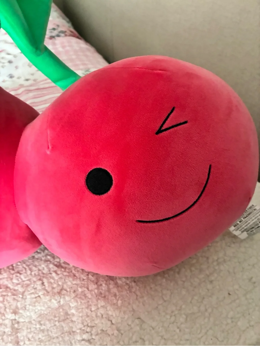 Fruit of the Loom Plush Cherry Twin Pillow - Pink & Green
